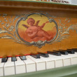 1889 Artcase Steinway. One-of-a-Kind masterpiece - Grand Pianos